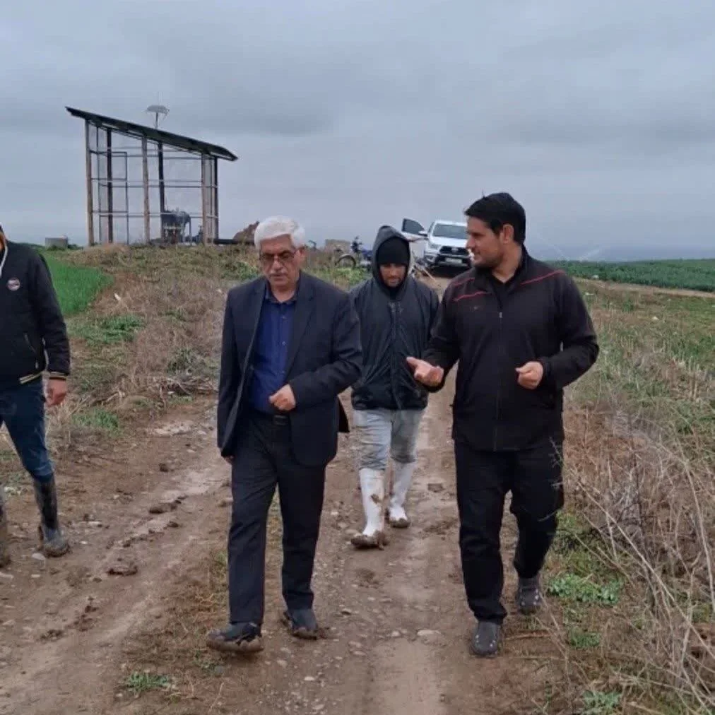 بررسی فعالیت های واحد زراعت