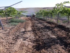 نکات ایمنی در سمپاشی