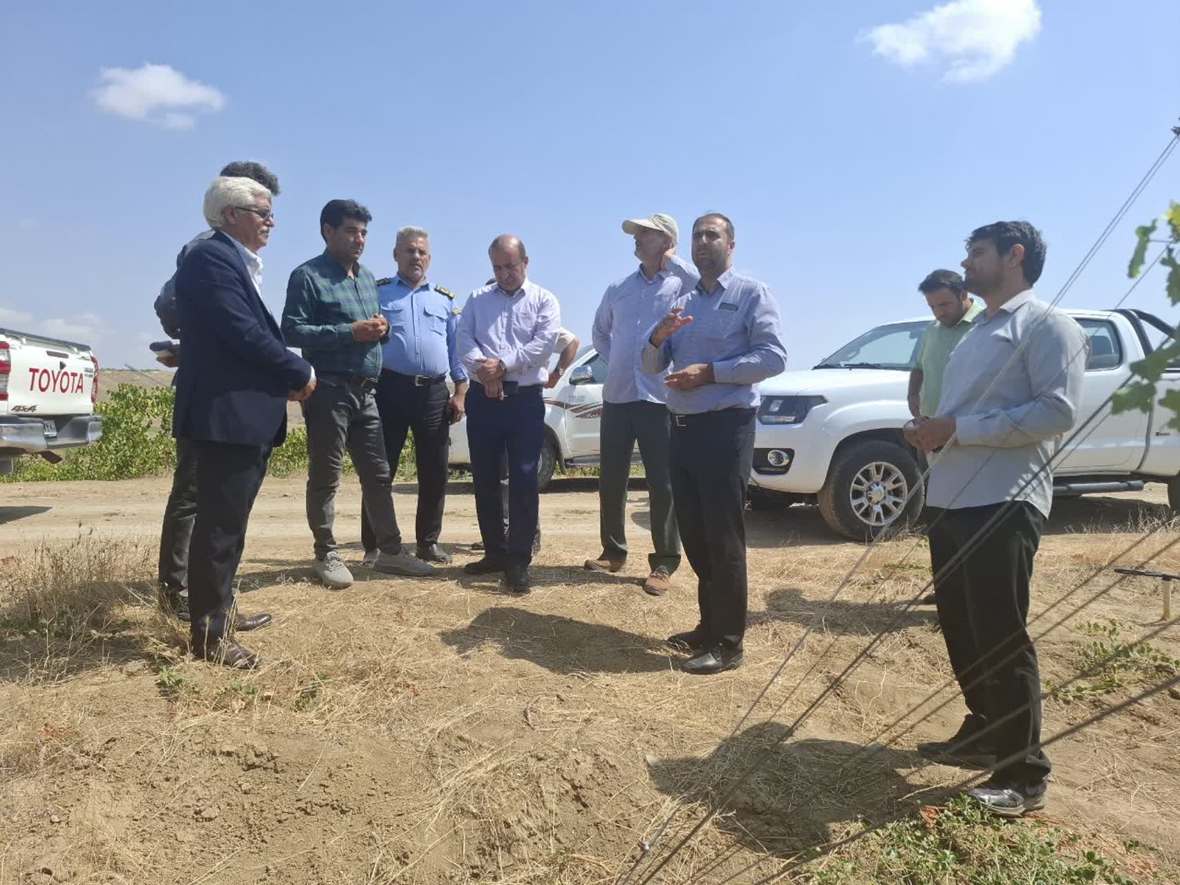 شرکت کشت و صنعت خوشه صبا