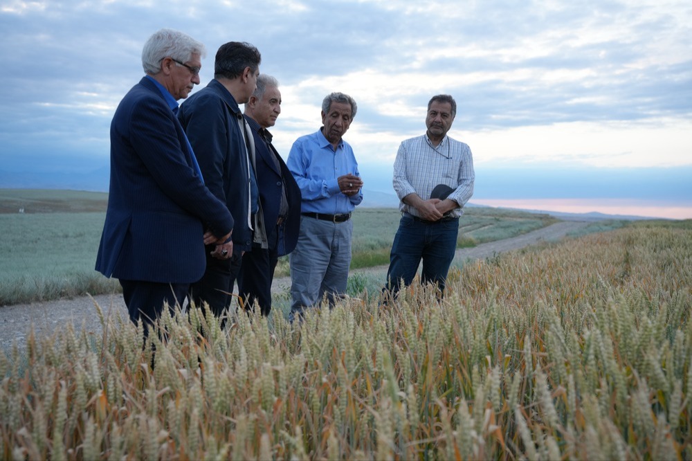 بازدید شرکت نگین سبز آببر